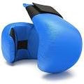 Vaibhav Sports Elastic Flexible Karate Gloves, Single Pair (Blue).