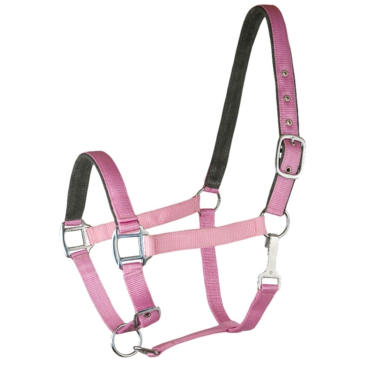 Gatsby Suede Padded Nylon Halter
