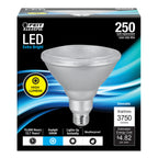 250W Led Par38 5000K Dim (Pack Of 1)