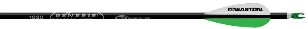 Easton Genesis V2 Arrows Black 1820 6 pk.