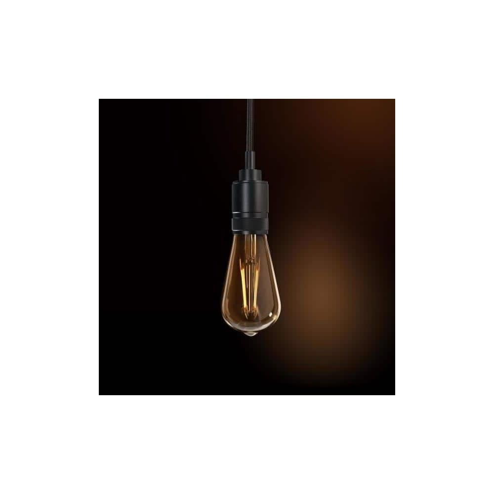 Pendant Adj Blk 55'' 60W (Pack Of 1)