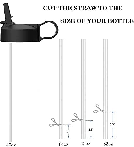 The Mass Wide Mouth Straw Lid Compatibility Most Sports Water Bottle (White)