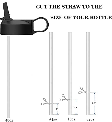 The Mass Wide Mouth Straw Lid Compatibility Most Sports Water Bottle (Black & White)