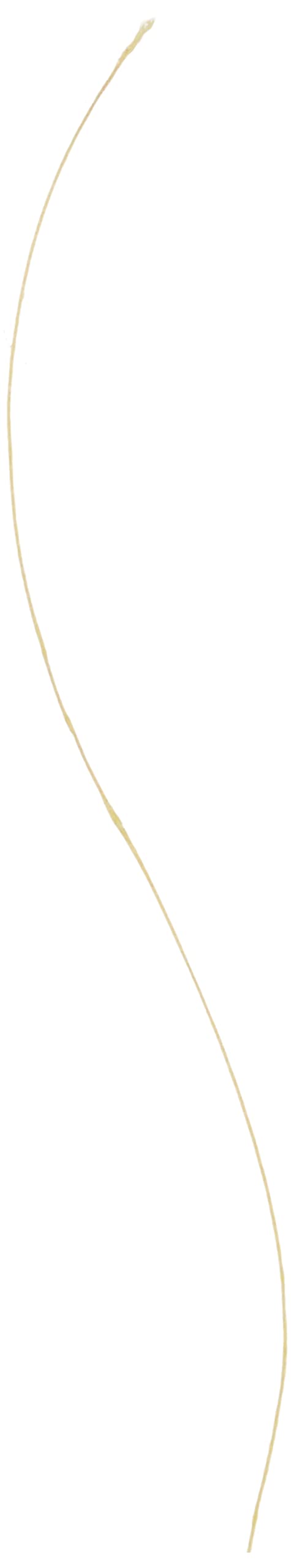 Sufix 832 Advanced Superline Braid, Hi-Vis Yellow, 10-Pound/300-Yard Spool (660-110Y)