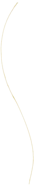 Sufix 832 Advanced Superline Braid, Hi-Vis Yellow, 10-Pound/300-Yard Spool (660-110Y)