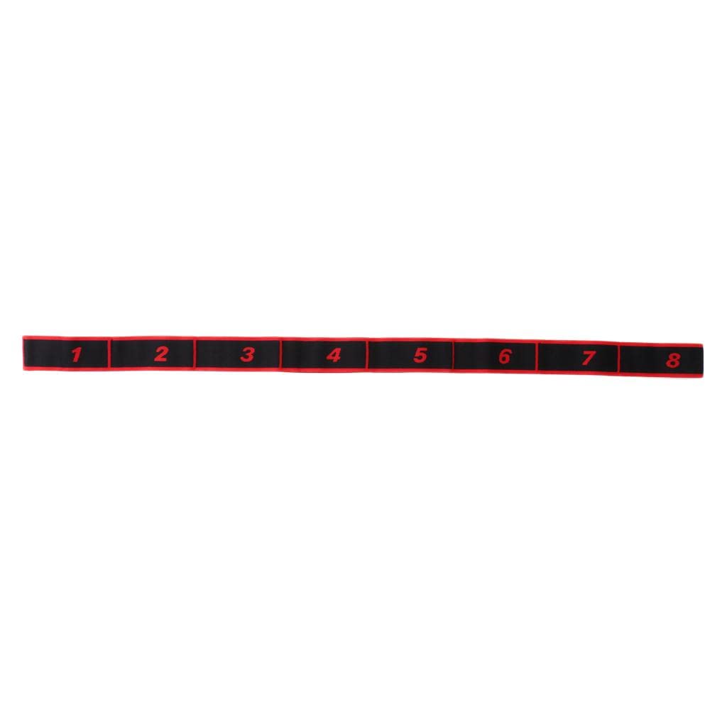 Ecomistiq Adults 8 Loops Latin Yoga Stretching Strap Gym Dance Resistance Band Red| Other Fitness Running & Yoga| |Sporting Good