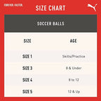 Puma Ftblcore Fan Ball