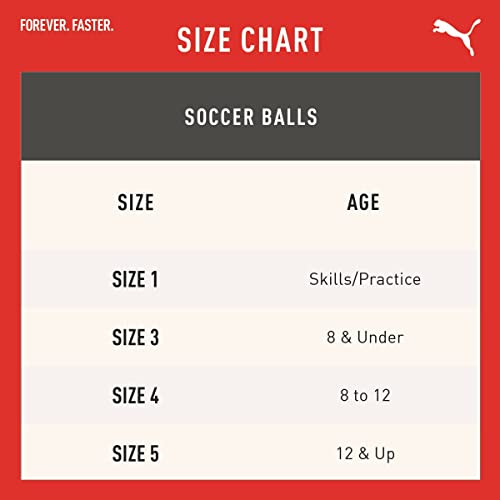 Puma Ftblcore Fan Ball