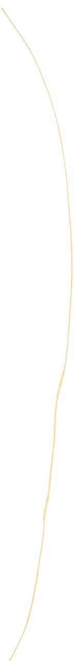 Sufix 832 Advanced Superline Braid, Hi-Vis Yellow, 6-Pound/300-Yard Spool (660-106Y)