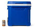 Igloo Blue Profile Ii 60 Roller