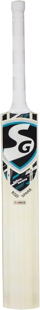 SG RSD Spark Kashmir Willow Cricket bat