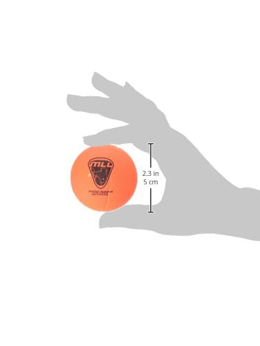 A&R Sports Major League Lacrosse Mini Lax Balls (Pack Of 2)