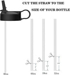 The Mass Wide Mouth Straw Lid Compatibility Most Sports Water Bottle (Flamingo)