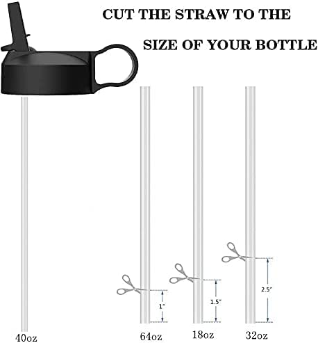 The Mass Wide Mouth Straw Lid Compatibility Most Sports Water Bottle (Flamingo)