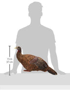 Avian-X Breeder Lifelike Collapsible Decoy Lcd Folding Hen Turkey Hunting Decoy W/ 24 Inch Stake, No Flake Lifelike Paint Detail