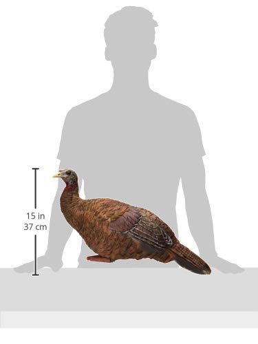 Avian-X Breeder Lifelike Collapsible Decoy Lcd Folding Hen Turkey Hunting Decoy W/ 24 Inch Stake, No Flake Lifelike Paint Detail