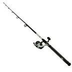Daiwa Dwb50-B/F1002M D-Wave Saltwater Spinning Combo, 1 Bearing, 10' Length, 2Piece Rod, Medium Power, Fiberglass Blank Material
