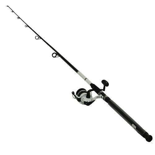 Daiwa Dwb50-B/F1002M D-Wave Saltwater Spinning Combo, 1 Bearing, 10' Length, 2Piece Rod, Medium Power, Fiberglass Blank Material
