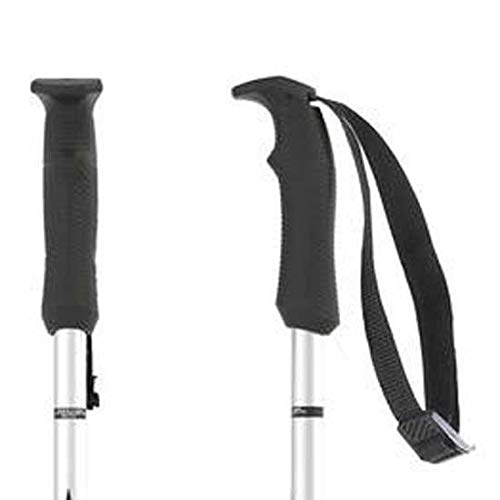 Atomic AMT Ski Poles (Silver, 110cm)