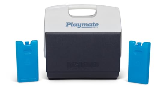 Igloo Maxcold Small Ice Block , Blue