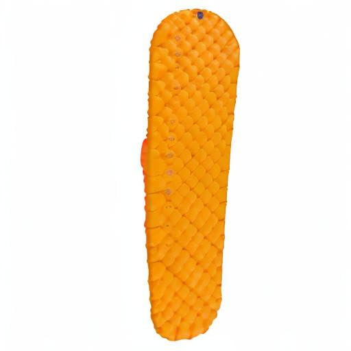 Sea To Summit Ultralight Insulated Backpacking Sleeping Pad, Regular (72 X 21.5 X 2 Inches)