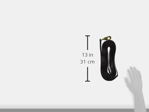 Hamilton Single Thick Nylon Horse Longe Line With Swivel Snap, 1-Inch/26-Feet, Black