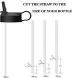 The Mass Wide Mouth Straw Lid Compatibility Most Sports Water Bottle (White & Flamingo)