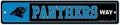 Carolina Panthers Sign 3.75x19 Plastic Street Style - Special Order