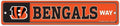 Cincinnati Bengals Sign 3.75x19 Plastic Street Style - Special Order