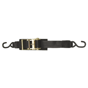 BoatBuckle HeavyDuty Transom TieDown  2inch x 6  Pair