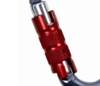Climbing Technology Snappy Tg Carabiner,Silver