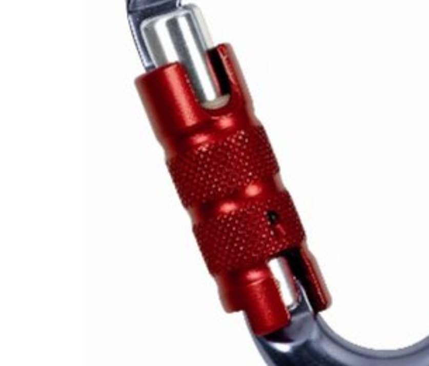 Climbing Technology Snappy Tg Carabiner,Silver