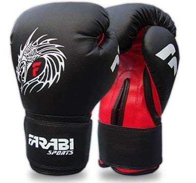 Farabi Dragon Boxing Gloves 16-Oz