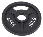 Fitvids Olympic Cast Iron 2-Inch Weight Plate for Strength Training & Weightlifting, 10 LB Set of 4