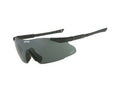 Eye Safety Systems 740-0020 Ice 2.4 Plus Kit, Assorted