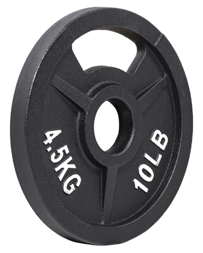 Fitvids Olympic Cast Iron 2-Inch Weight Plate for Strength Training & Weightlifting, 10 LB Set of 4