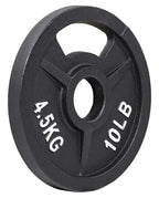 Fitvids Olympic Cast Iron 2-Inch Weight Plate for Strength Training & Weightlifting, 10 LB Set of 4