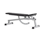 Weider Platinum Adjustable Bench With 16 Position Variations For Dumbbell And Body Weight Exercise