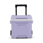 Igloos Cooler Hard-Sided Ice Chest, Insulated Portable Cooler, Heavy-Duty, Leak-Resistant Lid, Lightweight Ergonomic Handle (Lil