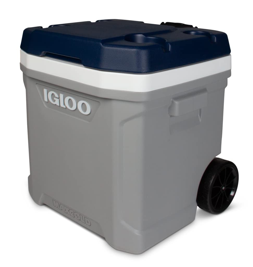 8034638 Maxcold Cooler Gry 60Qrt Igloo Maxcold Gray 60 Qt Cooler (Pack Of 1)