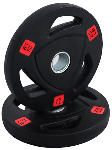 Fitvids Olympic Cast Iron 2-Inch Weight Plate for Strength Training & Weightlifting, Rubber Coate Style, 25lbs, Pair
