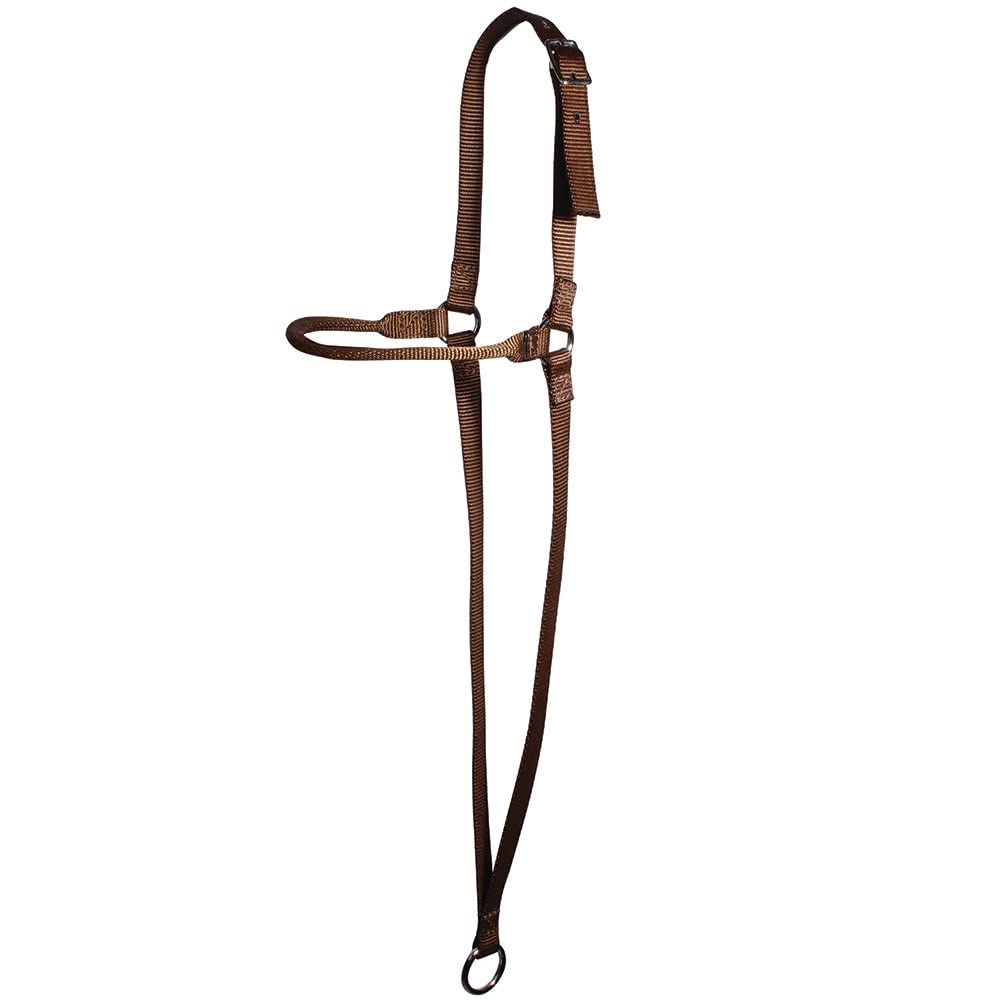 Professional's Choice Chocolate Web War Bonnet