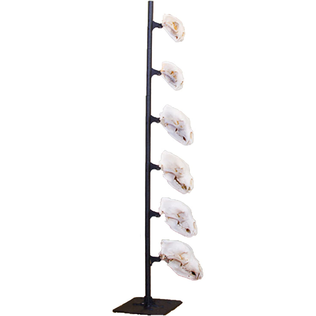 Skull Hooker Trophy Tree European Trophy Mount - Hang Up To 5 Taxidermy Deer Antlers And Other Skulls For Display - Graphite Bla