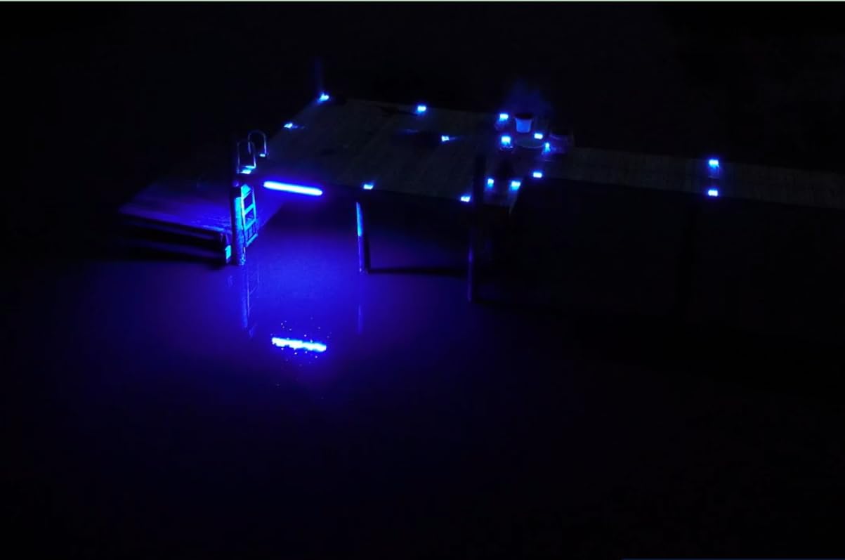 Hydro Glow Dm260B 40W/120Vac Dock Mounted Fishing Light - Blue