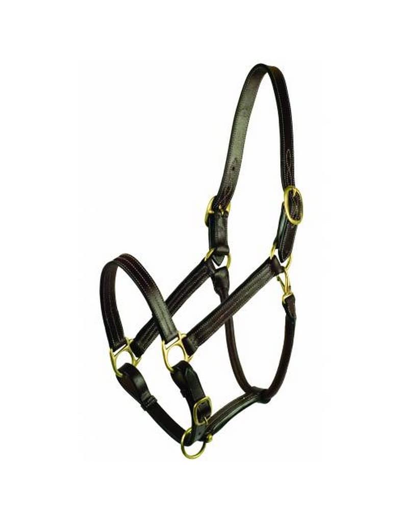 Gatsby 283029 Classic Adjustable Halter Havanna Brown, Large Horse