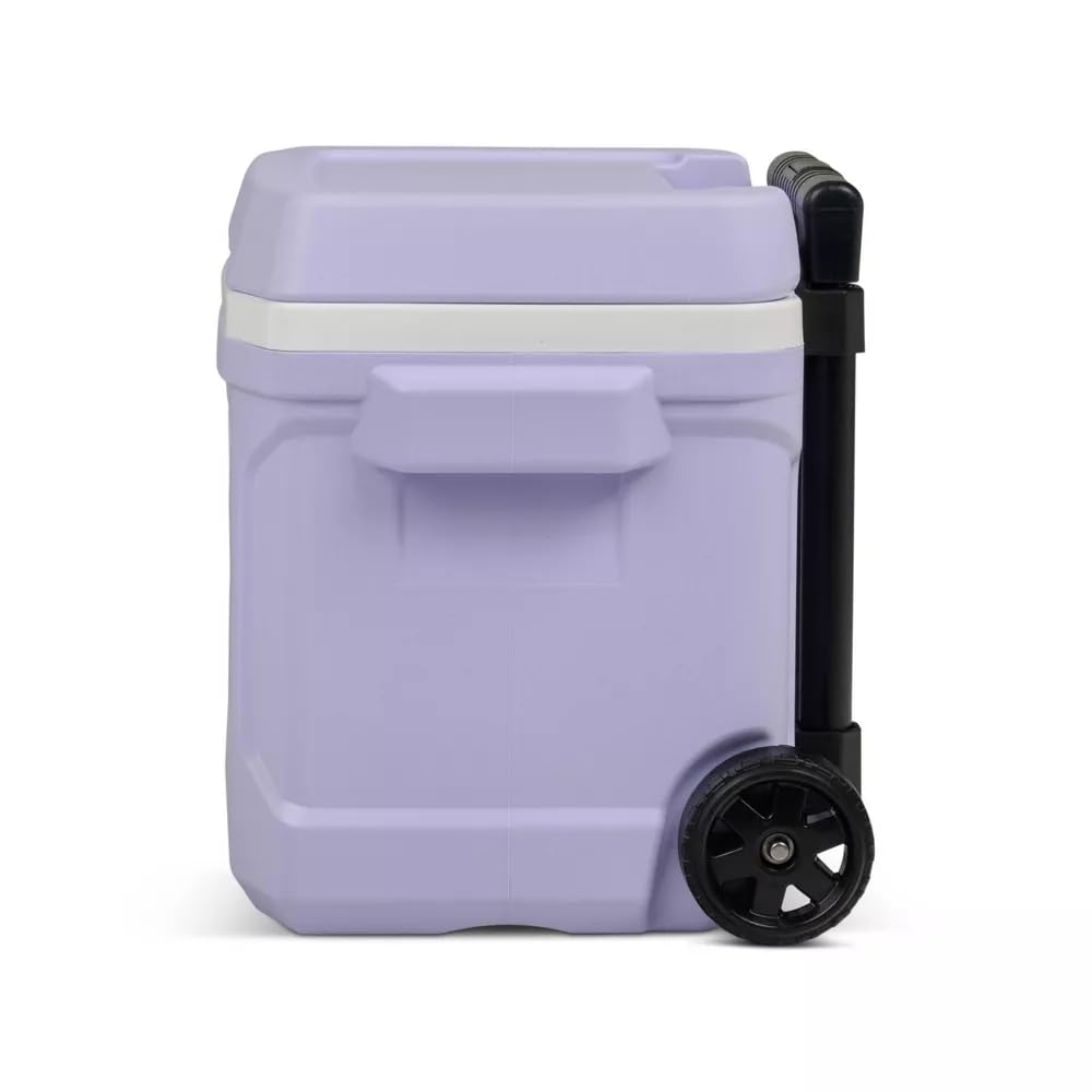 Igloos Cooler Hard-Sided Ice Chest, Insulated Portable Cooler, Heavy-Duty, Leak-Resistant Lid, Lightweight Ergonomic Handle (Lil