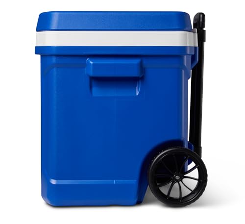 Igloo Blue Profile Ii 60 Roller