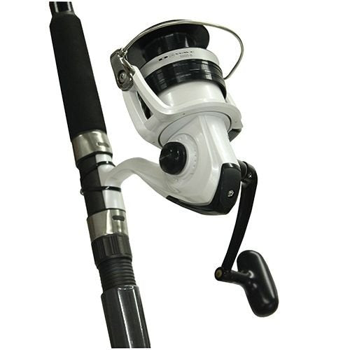 Daiwa Dwb50-B/F1002M D-Wave Saltwater Spinning Combo, 1 Bearing, 10' Length, 2Piece Rod, Medium Power, Fiberglass Blank Material