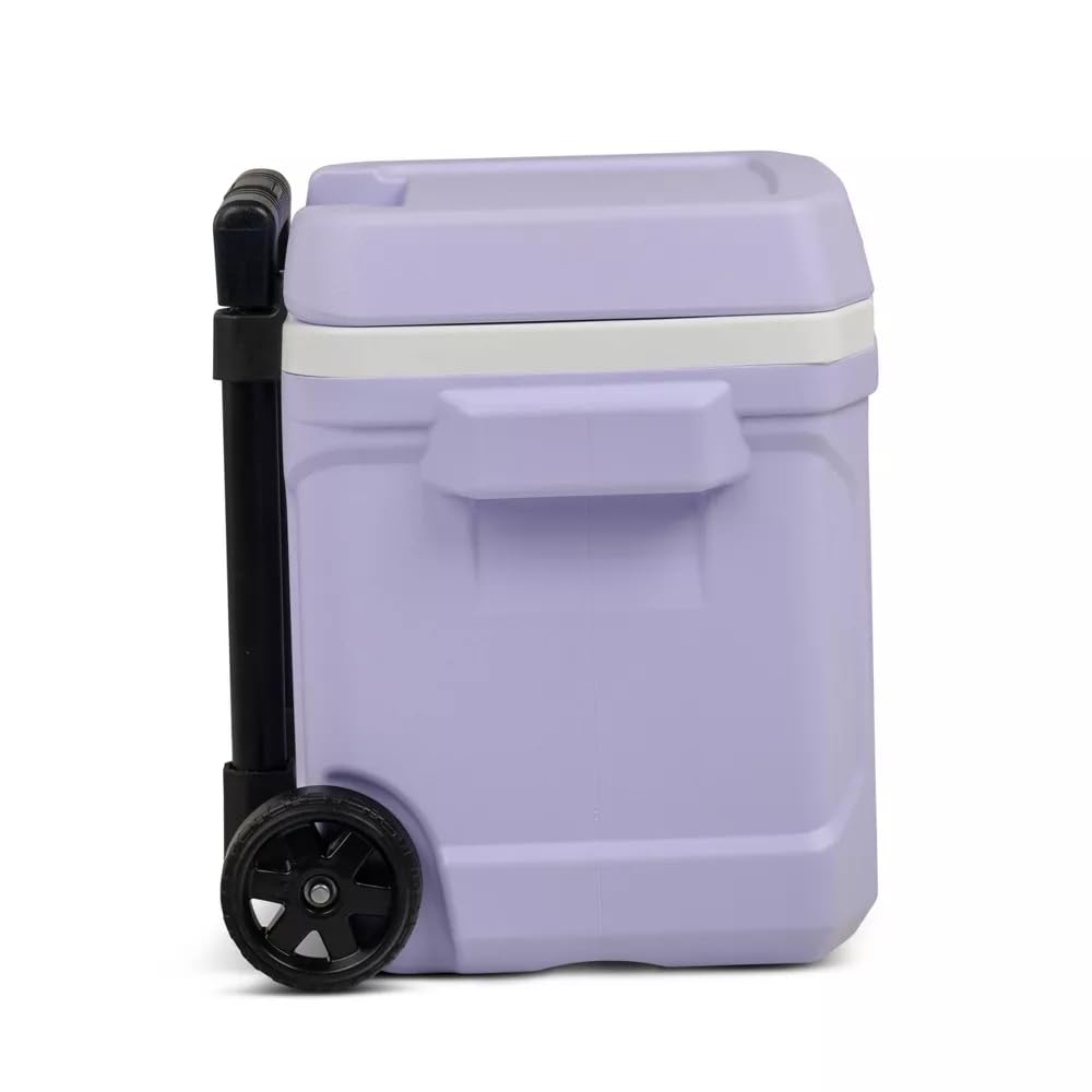 Igloos Cooler Hard-Sided Ice Chest, Insulated Portable Cooler, Heavy-Duty, Leak-Resistant Lid, Lightweight Ergonomic Handle (Lil