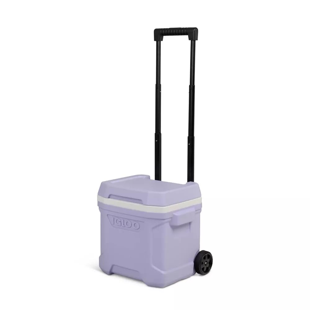 Igloos Cooler Hard-Sided Ice Chest, Insulated Portable Cooler, Heavy-Duty, Leak-Resistant Lid, Lightweight Ergonomic Handle (Lil